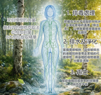 Zuccari樺樹汁25條裝 x 2罐