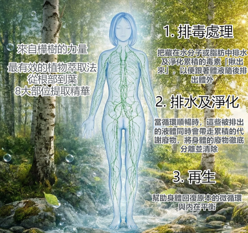 Zuccari樺樹汁25條裝 x 2罐